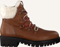 Cognac GABOR Veterboots 785 - medium