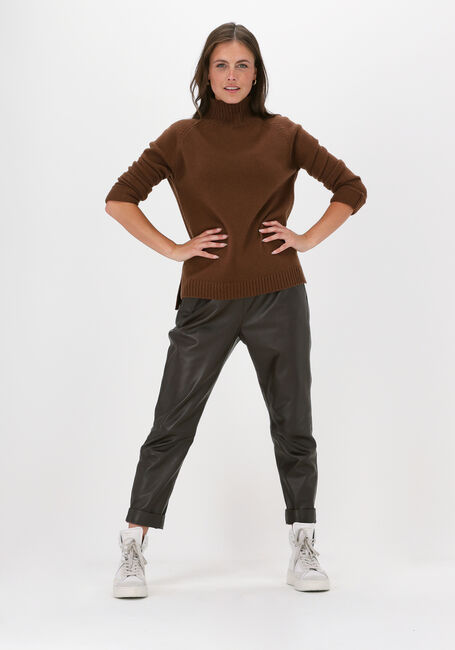 Bruine BELLAMY Coltrui NOORTJE Bruine BELLAMY Coltrui NOORTJE - large