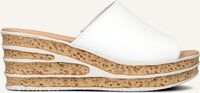 Witte GABOR Slippers 650.1 - medium