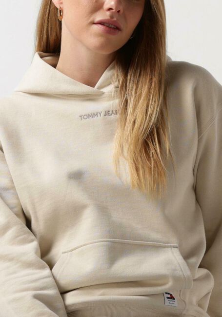 Beige TOMMY JEANS Trui TJW RLX SMALL CLASSIC HOODIE EXT - large