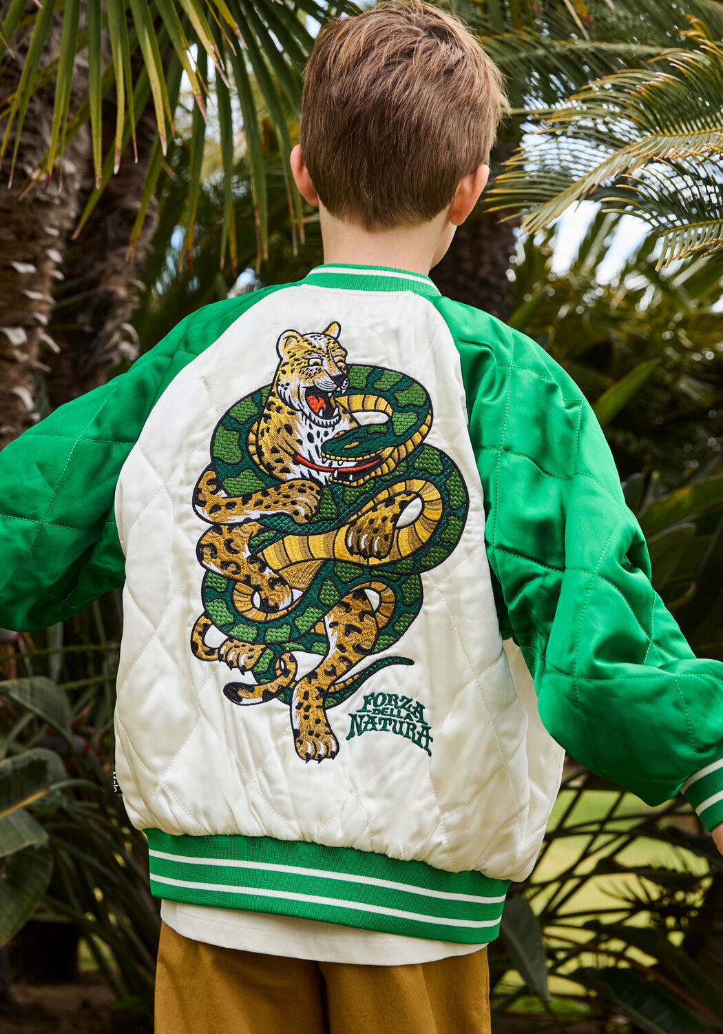 Multi MOLO Jack HARU - large