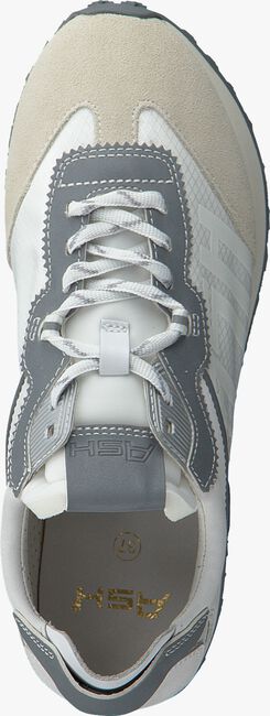 Witte ASH Lage sneakers TIGER - large