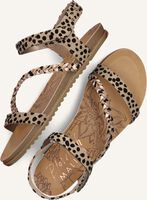 Beige BLOWFISH MALIBU Sandalen MADRIGAL Beige BLOWFISH MALIBU Sandalen MADRIGAL - medium