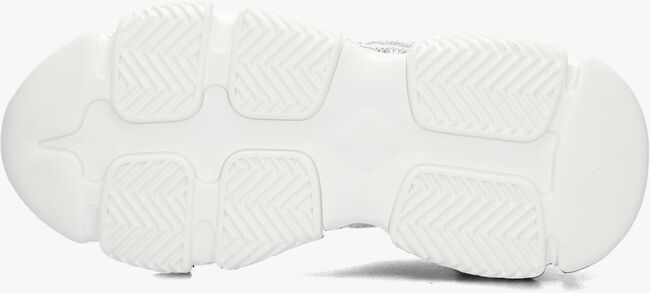 Witte STEVE MADDEN Lage sneakers PRIVY - large