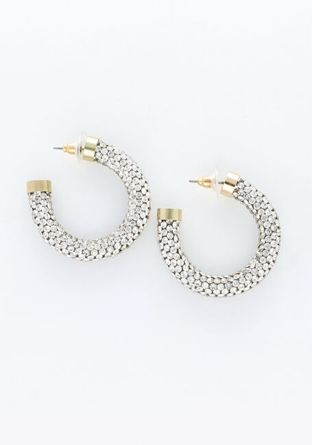 Goudkleurig NOTRE-V Oorbellen EARRING STONES STRASS - large
