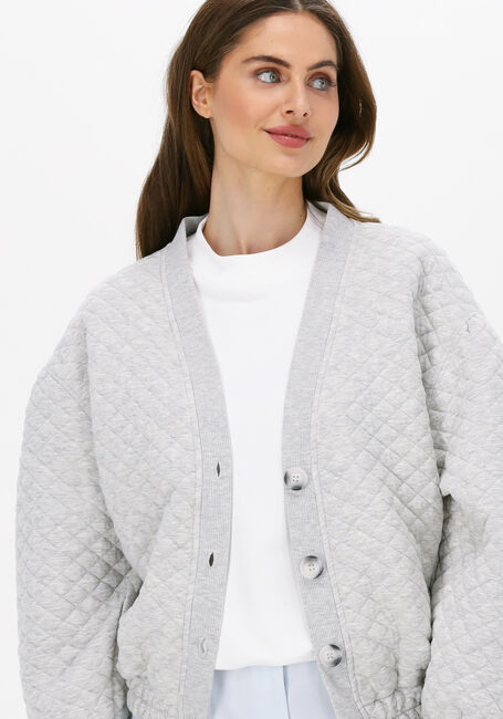 Lichtgrijze SECOND FEMALE Vest NEPATA SWEAT CARDIGAN - large