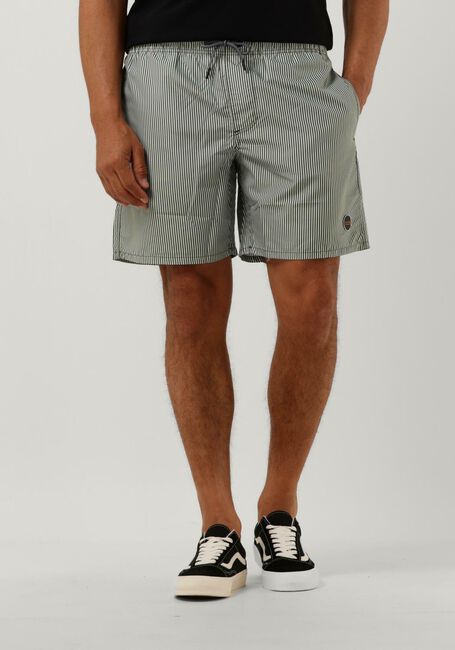 Groene SHIWI Zwembroeken MEN SWIMSHORT SKINNY STRIPE - large