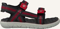 Grijze TIMBERLAND Platte sandalen PERKINS ROW WEBBING SNDL - medium
