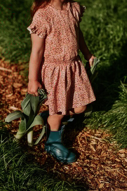 Oranje KOKO NOKO Mini jurk N58933 - large