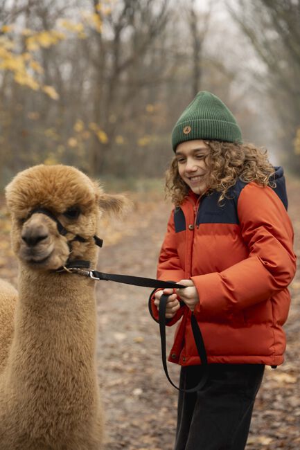 Oranje AMMEHOELA Gewatteerde jas XAVI - large
