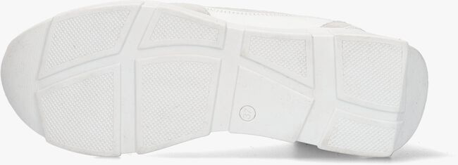 Witte TANGO Lage sneakers NORAH 1 - large