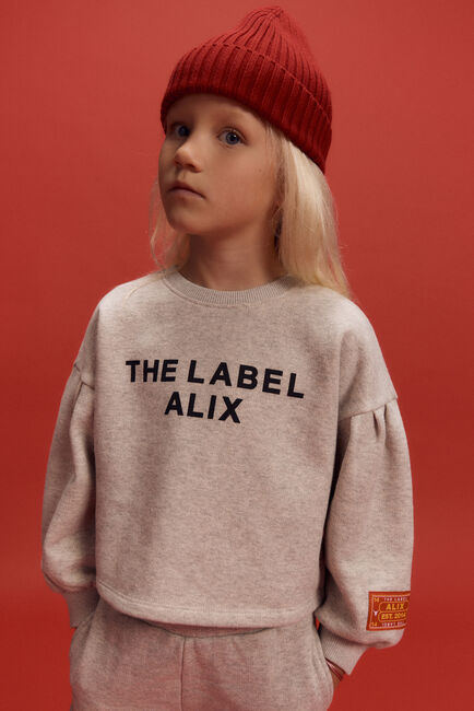 Lichtgrijze ALIX MINI Trui KNITTED STRASS LOGO SWEATER - large