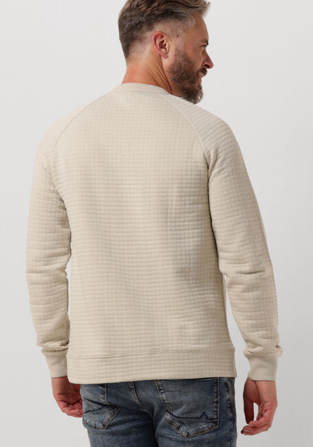 Beige CAST IRON Trui LONG SLEEVE R-NECK JACQUARD WAFFLE COTTON BLEND - large