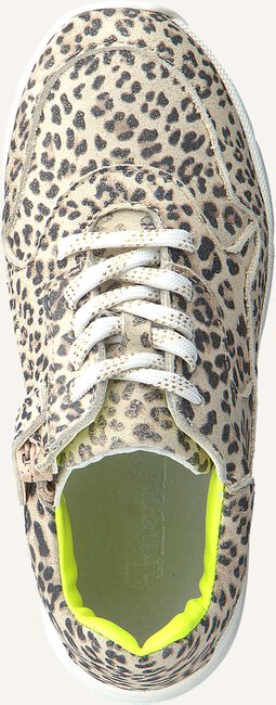 Beige PINOCCHIO Hoge sneakers P1253 Beige PINOCCHIO Hoge sneakers P1253 - large