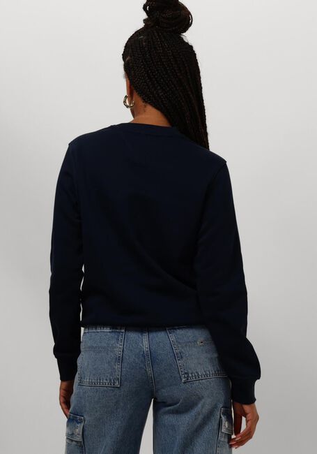 Blauwe TOMMY JEANS Trui TJW REG LINEAR CREW - large