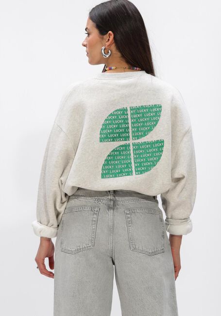 Grijze BY-BAR Truien/vesten BIBI CLOVER SWEATER - large