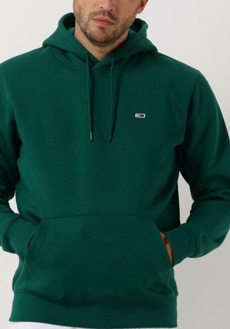 Donkergroene TOMMY JEANS Sweater TJM REGULAR FLEECE HOODIE - large