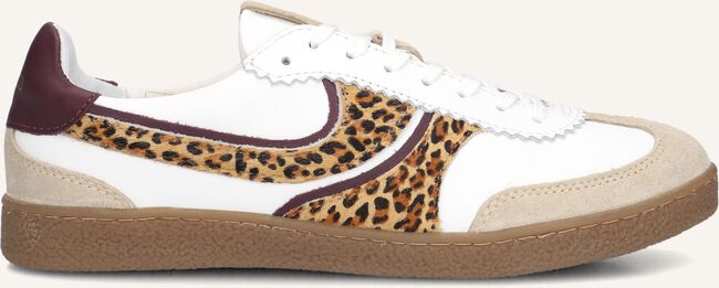 Beige HABOOB Lage sneakers CHARLOTTE Beige HABOOB Lage sneakers CHARLOTTE - large