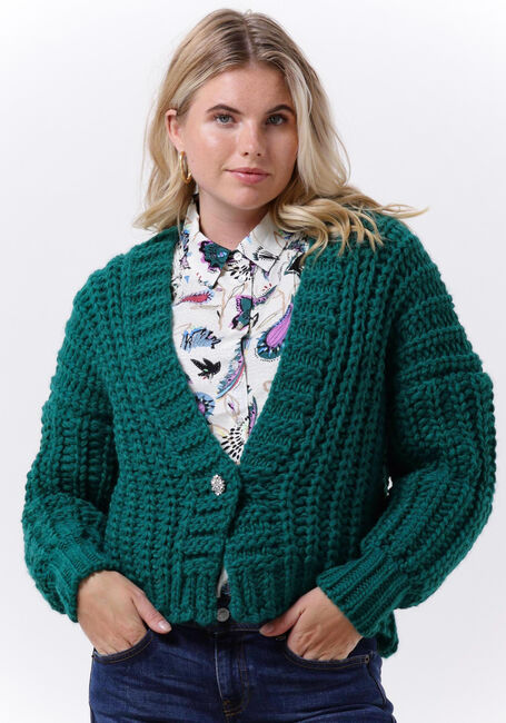 Groene POM AMSTERDAM Vest CARDIGAN 6962 - large