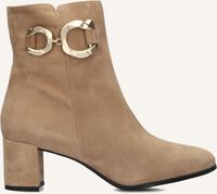 NOTRE-V 8558 - medium