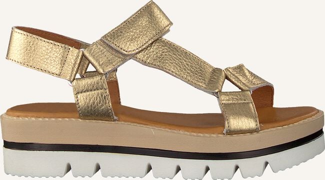 Gouden ROBERTO D'ANGELO Platte sandalen FAUST Gouden ROBERTO D'ANGELO Platte sandalen FAUST - large