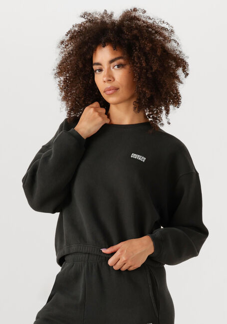 Donkergrijze AMERICAN VINTAGE Sweater IZUBIRD D - large