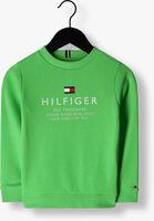 Groene TOMMY HILFIGER Sweater TH LOGO SWEATSHIRT - medium