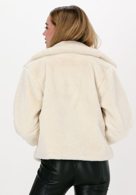 Witte JOSH V Jack GIGI - large
