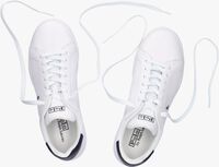 Witte POLO RALPH LAUREN Lage sneakers HRT CT II - medium
