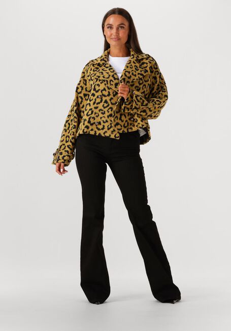 Oker AMAYA AMSTERDAM Jack LOTUS - large