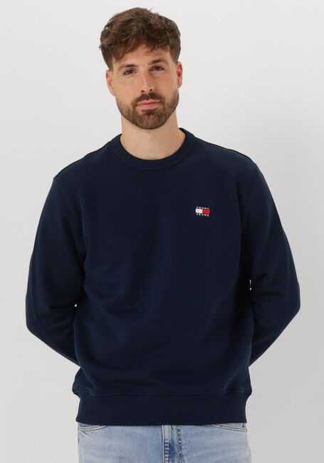 Donkerblauwe TOMMY JEANS Trui TJM REG BAGDE CREW EXT - large