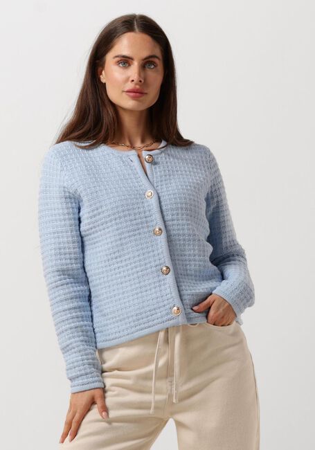 Lichtblauwe NEO NOIR Vest LIMONE KNIT JACKET - large