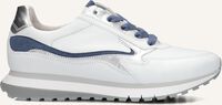 Witte GABOR Lage sneakers 376 Witte GABOR Lage sneakers 376 - medium