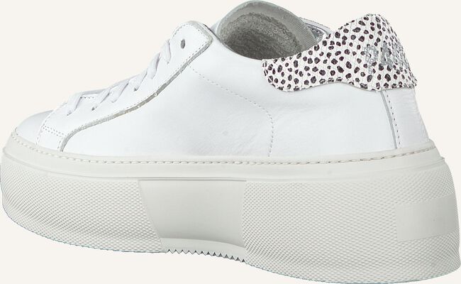 Witte P448 Lage sneakers LOUISE Witte P448 Lage sneakers LOUISE - large