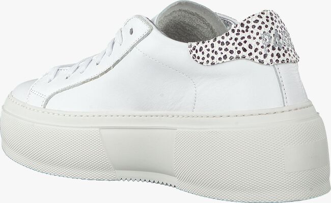 Witte P448 Lage sneakers LOUISE  - large
