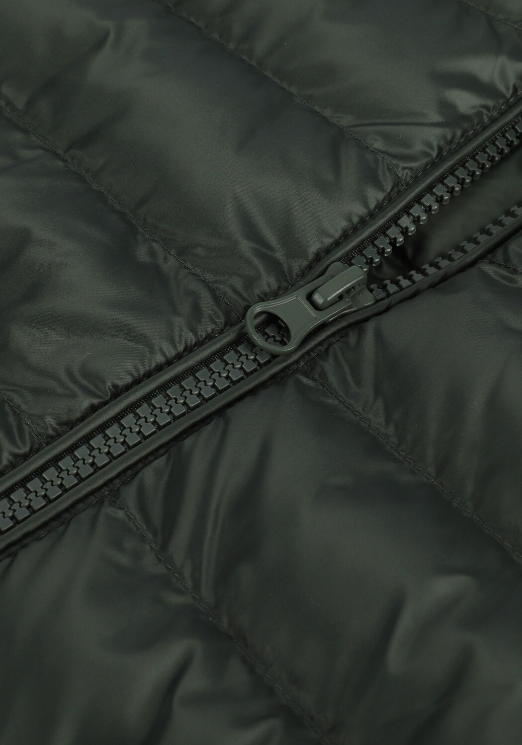 Groene PROFUOMO Gewatteerde jas PPTU1-A - large