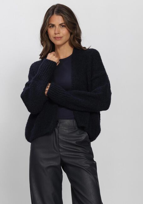Blauwe KNIT-TED Vest BECKY CARDIGAN - large