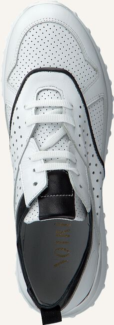 Witte NOTRE-V Lage sneakers AG281 Witte NOTRE-V Lage sneakers AG281 - large