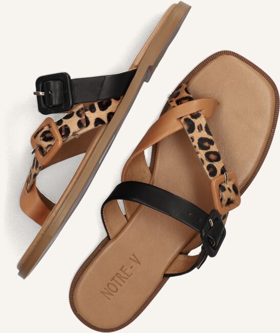 Camel NOTRE-V Teenslippers 979005 Camel NOTRE-V Teenslippers 979005 - large