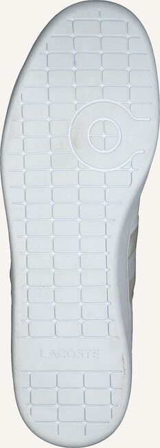 Witte LACOSTE Lage sneakers CARNABY EVO HEREN Witte LACOSTE Lage sneakers CARNABY EVO HEREN - large
