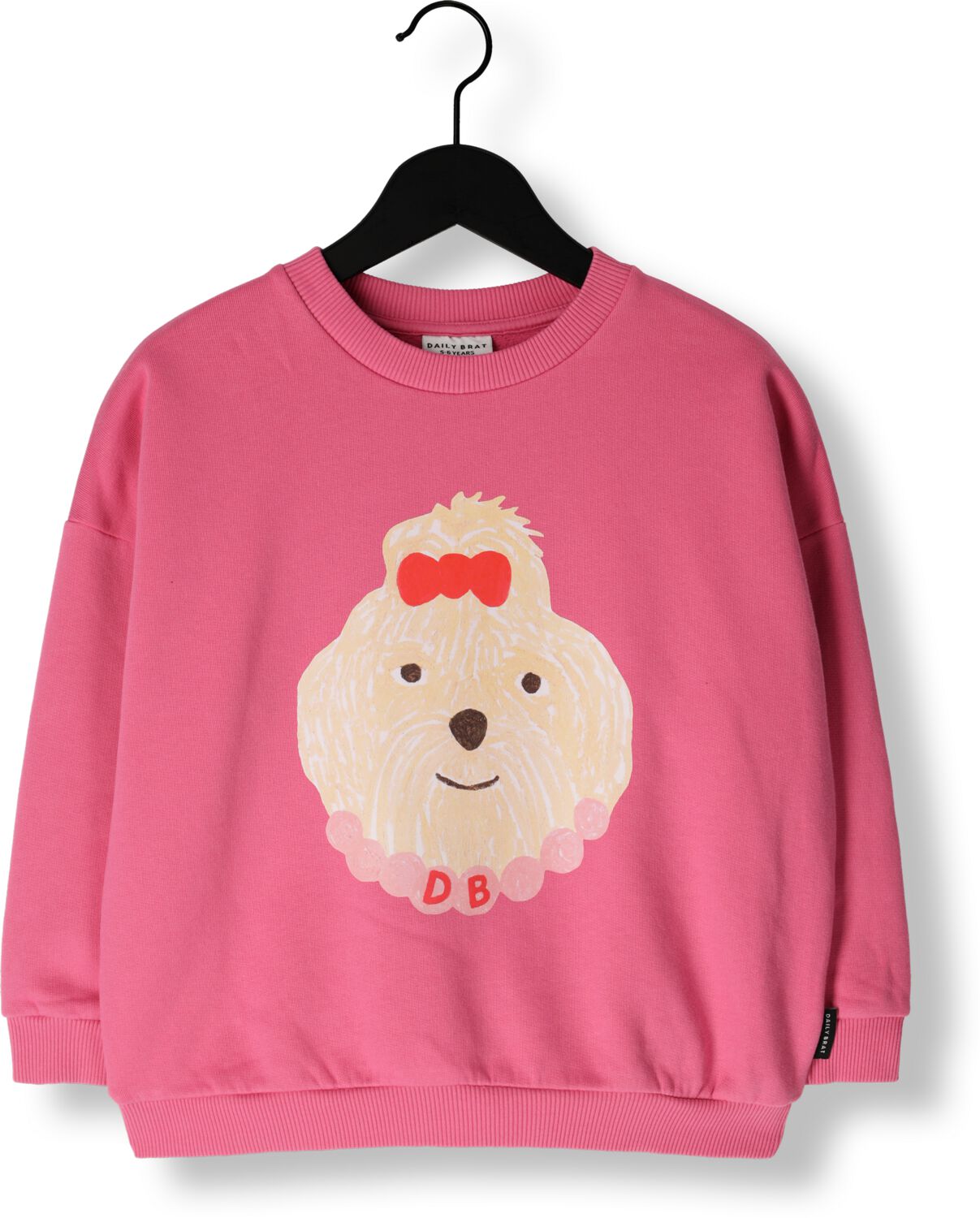 DAILY BRAT Meisjes Truien & Vesten Lady Arabella Sweater Roze