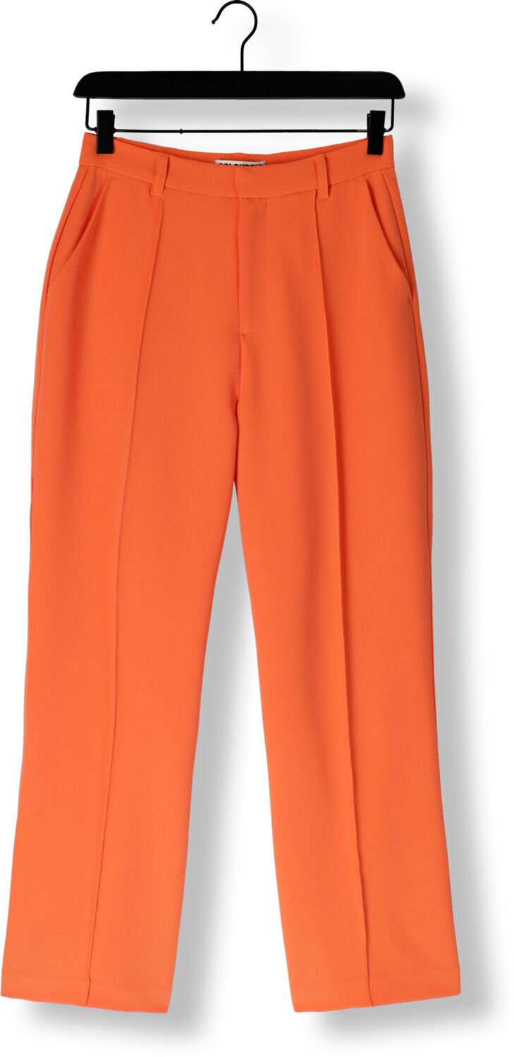 COLOURFUL REBEL Dames Broeken Rus Uni Straight Pants Oranje