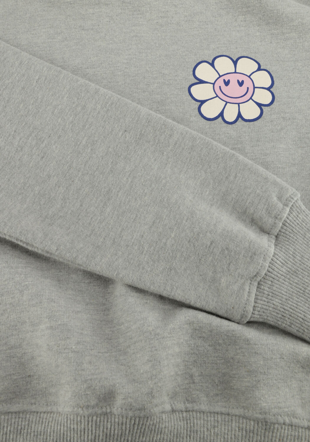 Grijze THE NEW Sweater TNSOFFI - large