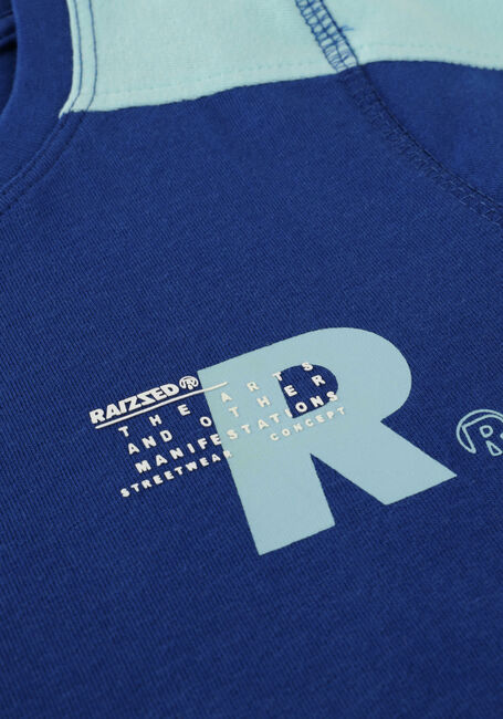 Blauwe RAIZZED T-shirt SOCORRO - large