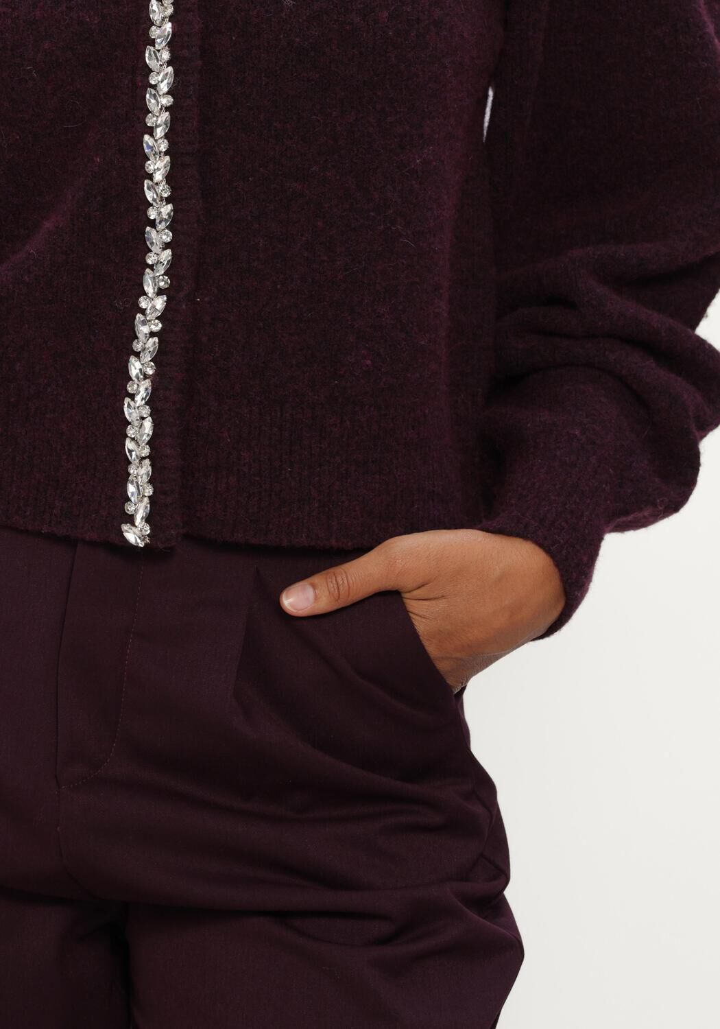 Bordeaux AMAYA AMSTERDAM Pantalon VIVIENNE PANTS - large