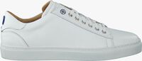 Witte GREVE Lage sneakers 6185 - medium