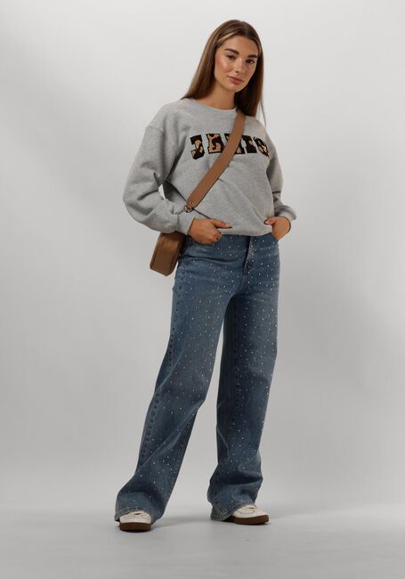 Grijze JANICE Sweater ANDY - large