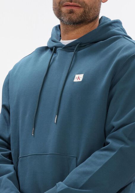 Blauwe CALVIN KLEIN Sweater LS 350TERRY EY WHSL BADGE HOODIE - large