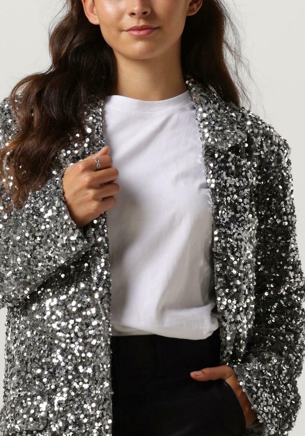 NOTRE-V Dames Blazers Nv-christine Glitter Velvet Blazer Zilver