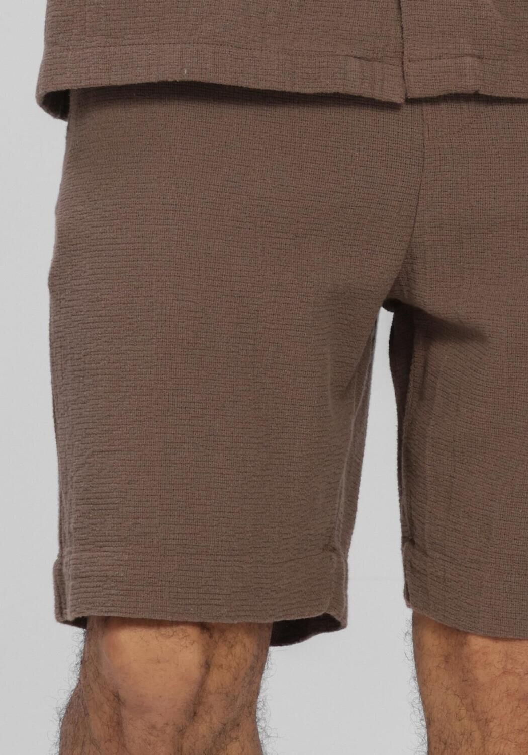 Bruine SELECTED MEN Broeken SLHREGCAL SHORTS - large